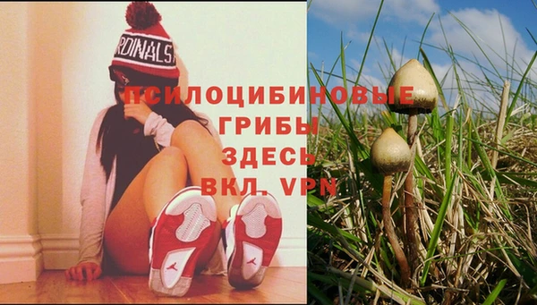 дурь Абдулино
