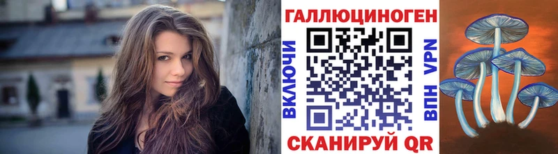 даркнет как зайти  Злынка  Псилоцибиновые грибы GOLDEN TEACHER 